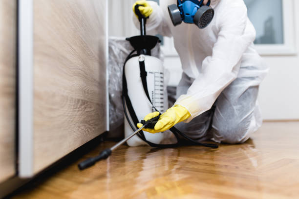 Best Flea Control Services  in Bay Village, OH