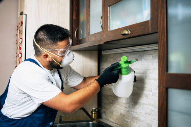 Best Best Pest Control Companies  in Bay Village, OH