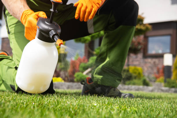 Best Pest Removal Services  in Bay Village, OH